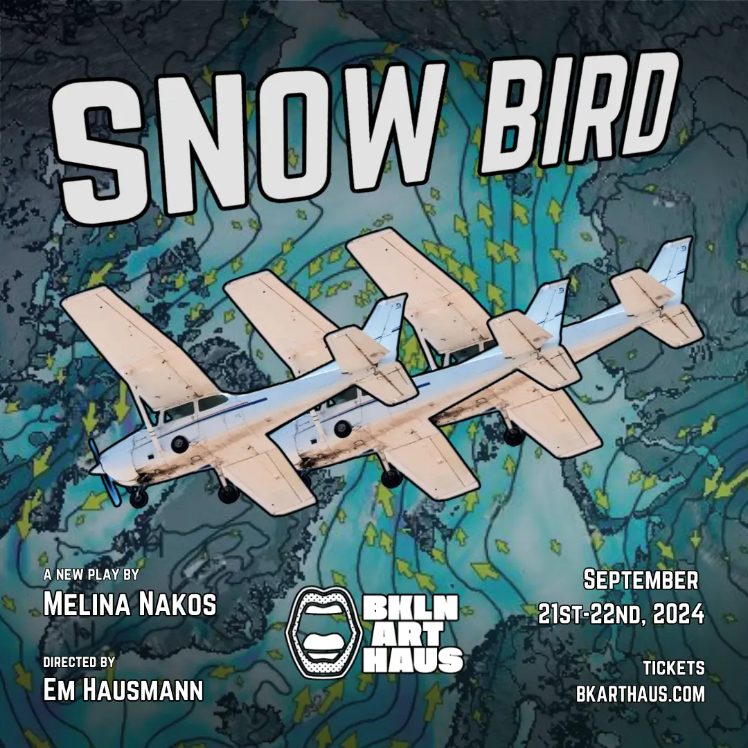 Snow Bird by Melina Nakos 